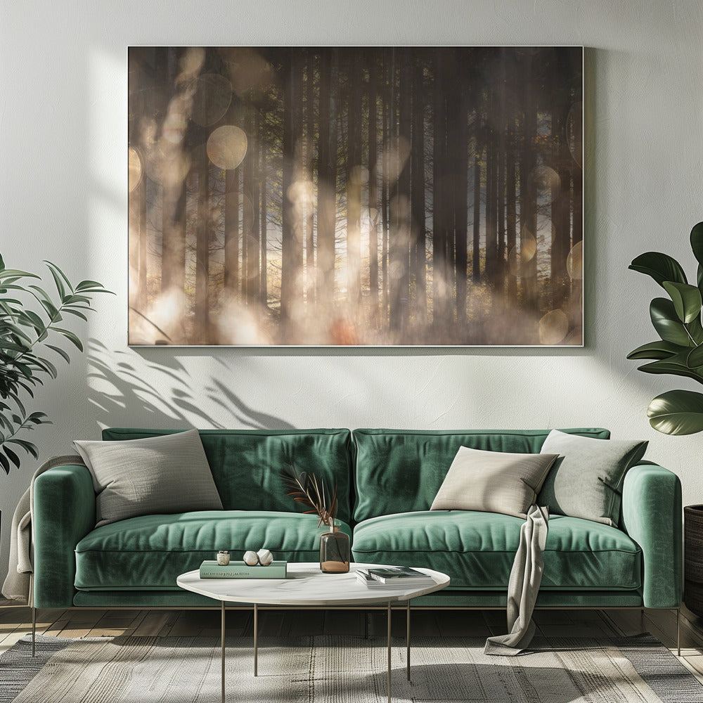 Forest Glow 2 | Canvas