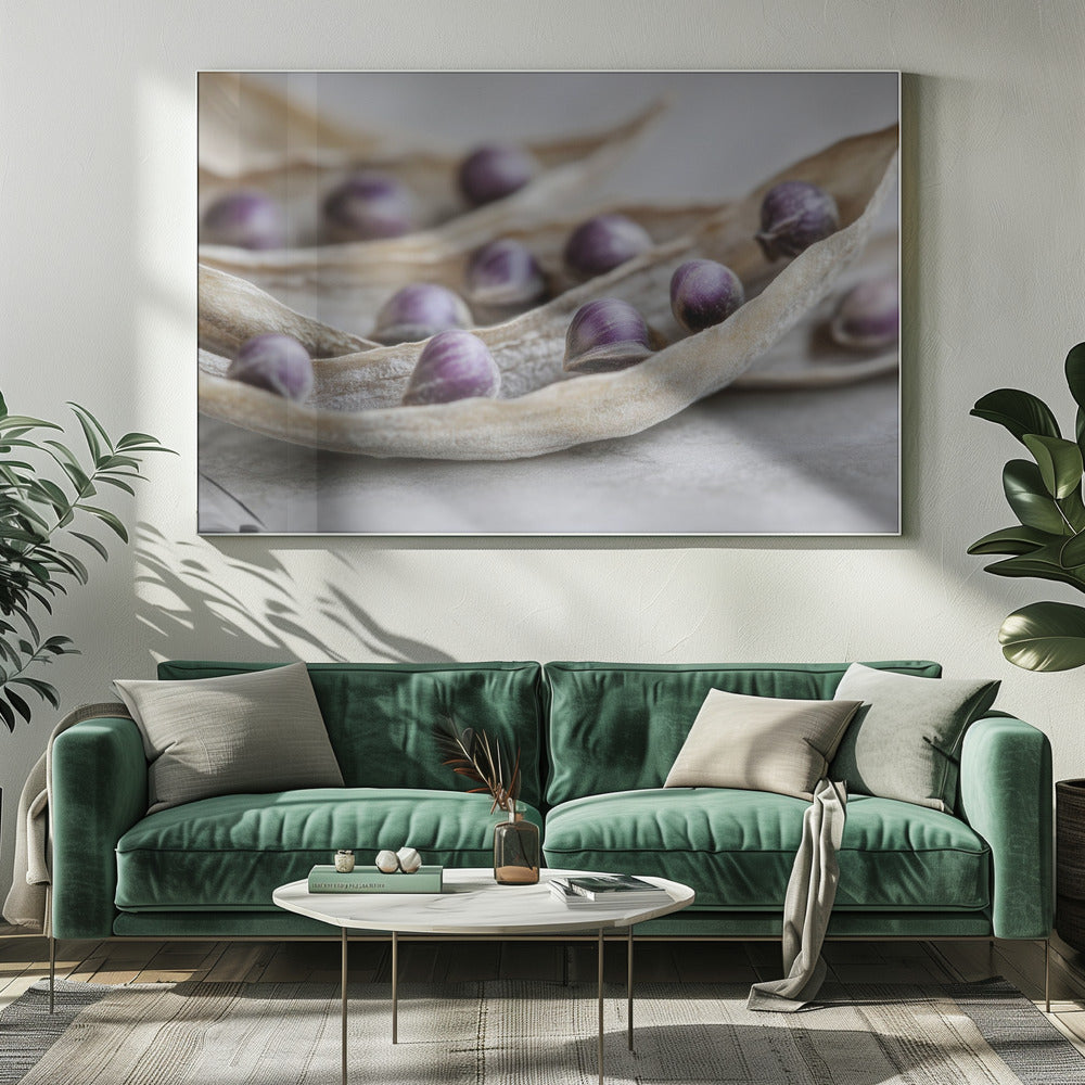 Purple Seed Symphony | Canvas