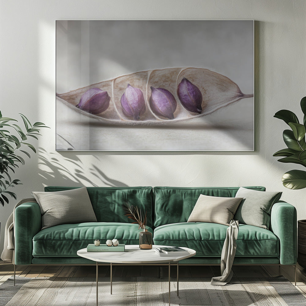 Purple Pod Harmony | Canvas