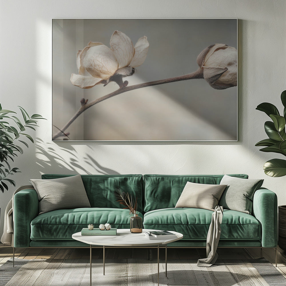 Delicate Petals | Canvas