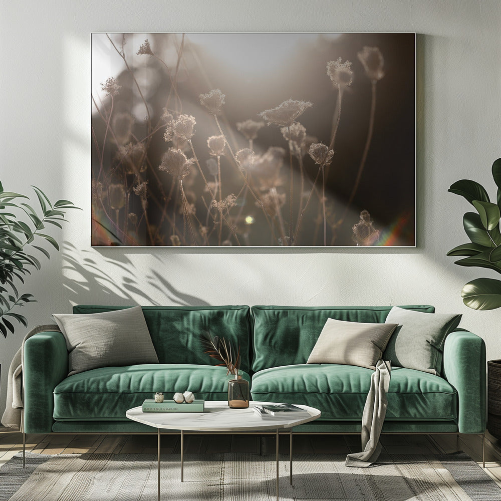 Warm Winter Light 3 | Canvas