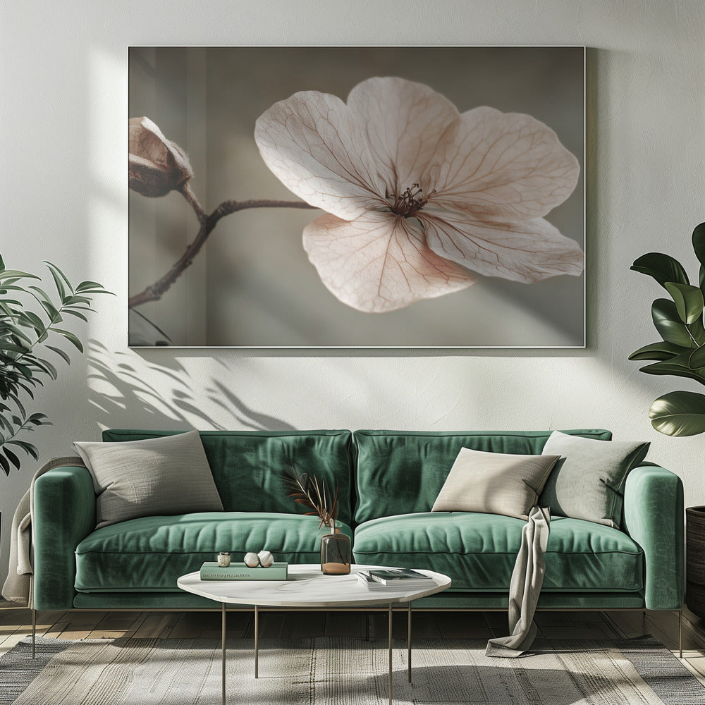 Delicate Bloom | Canvas