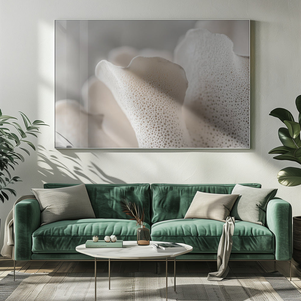 Porcelain Petals | Canvas