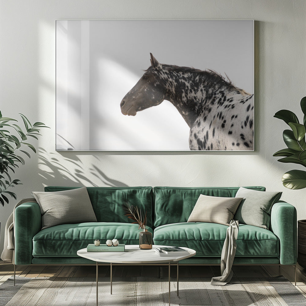 Andromeda 4 | Canvas