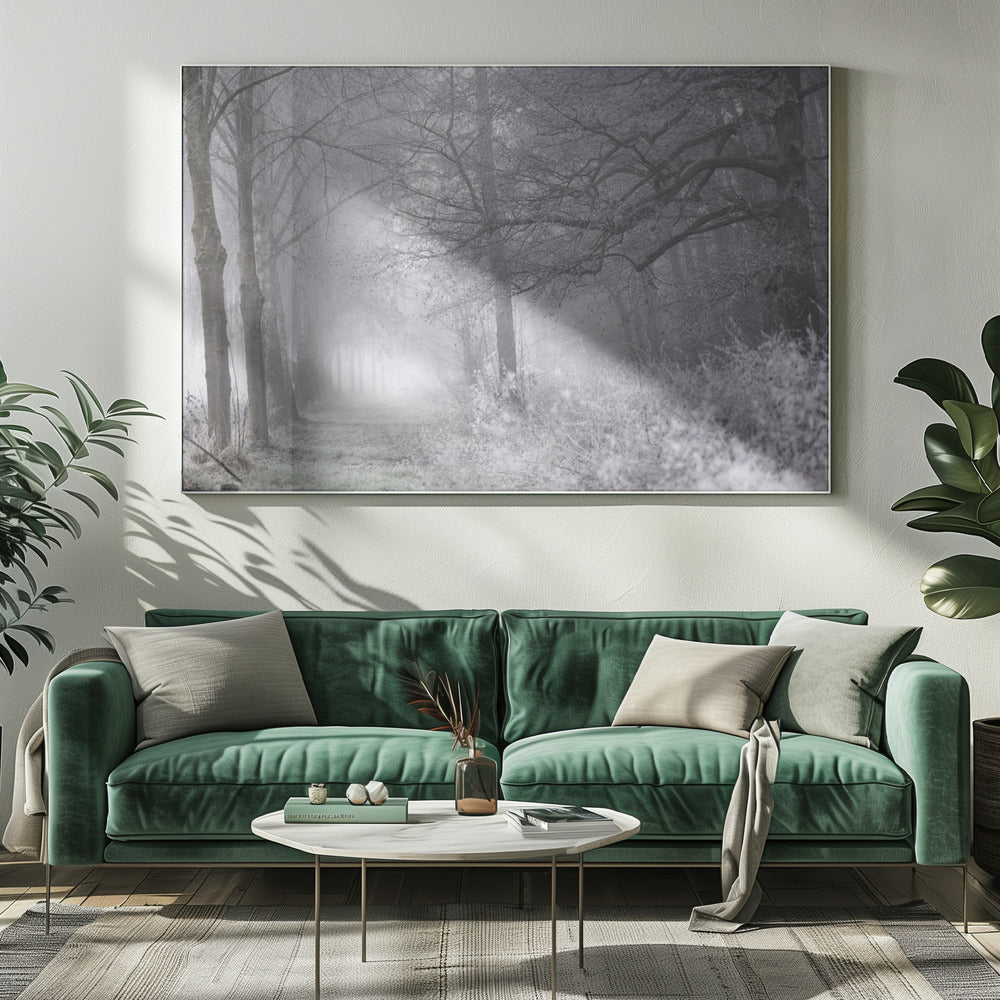 Foggy Winter Morning 1 | Canvas