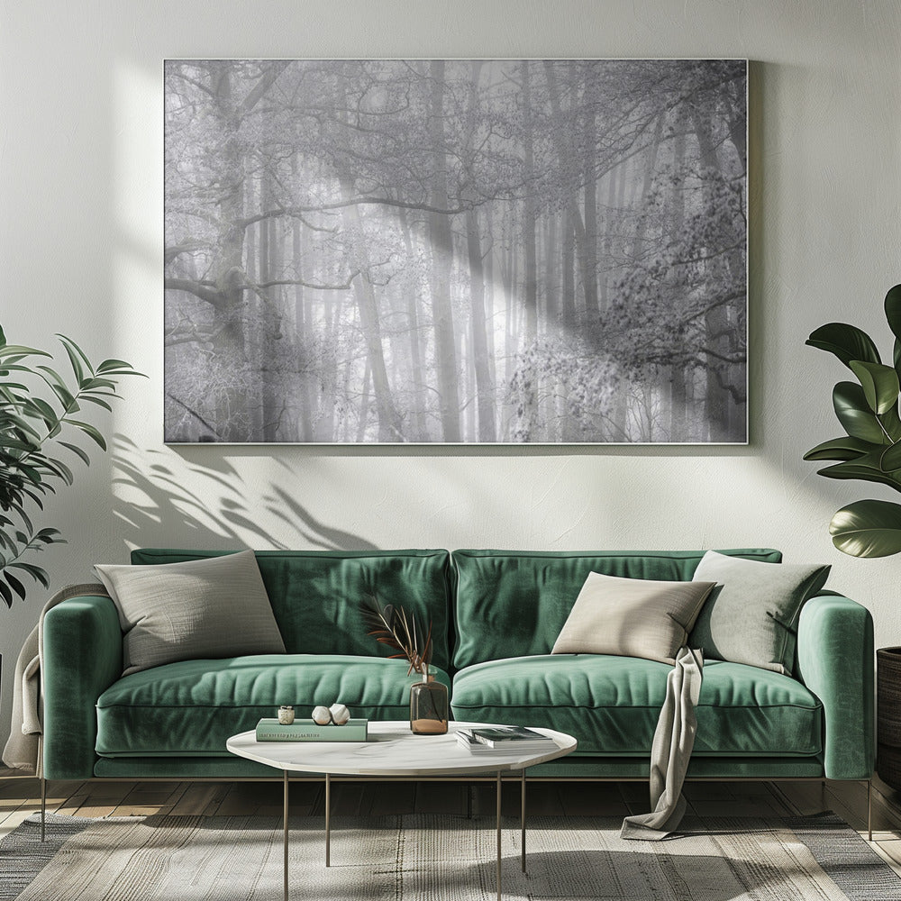 Foggy Winter Morning 2 | Canvas