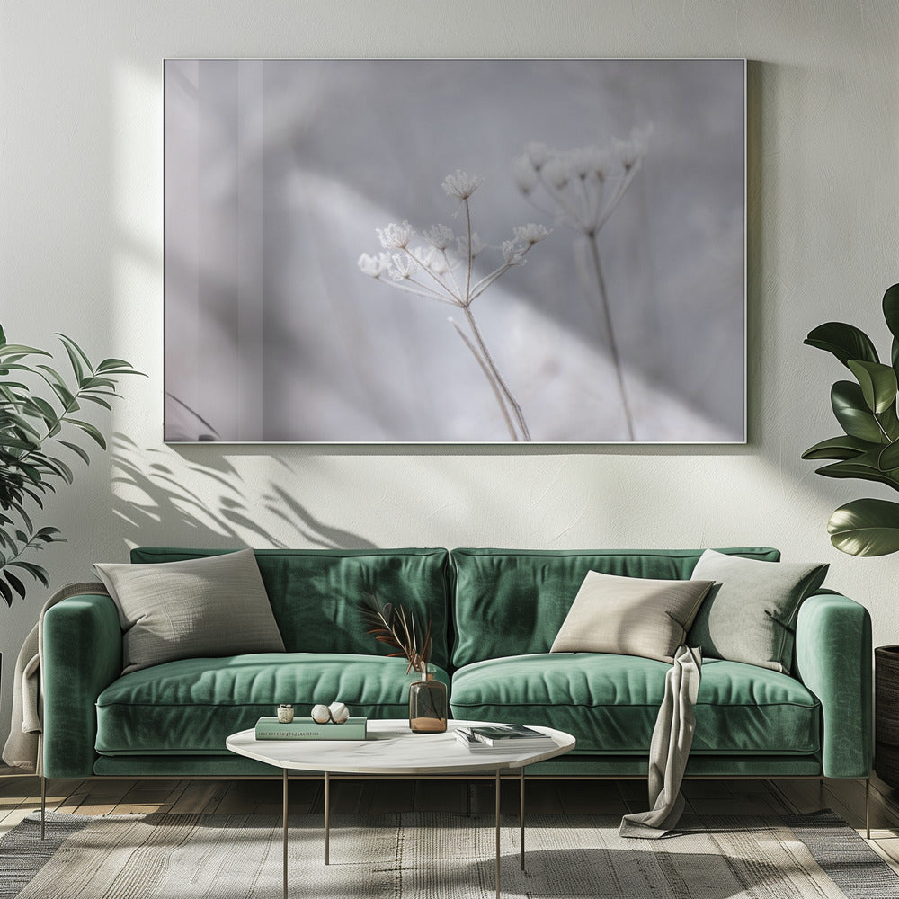 Frozen 7 | Canvas