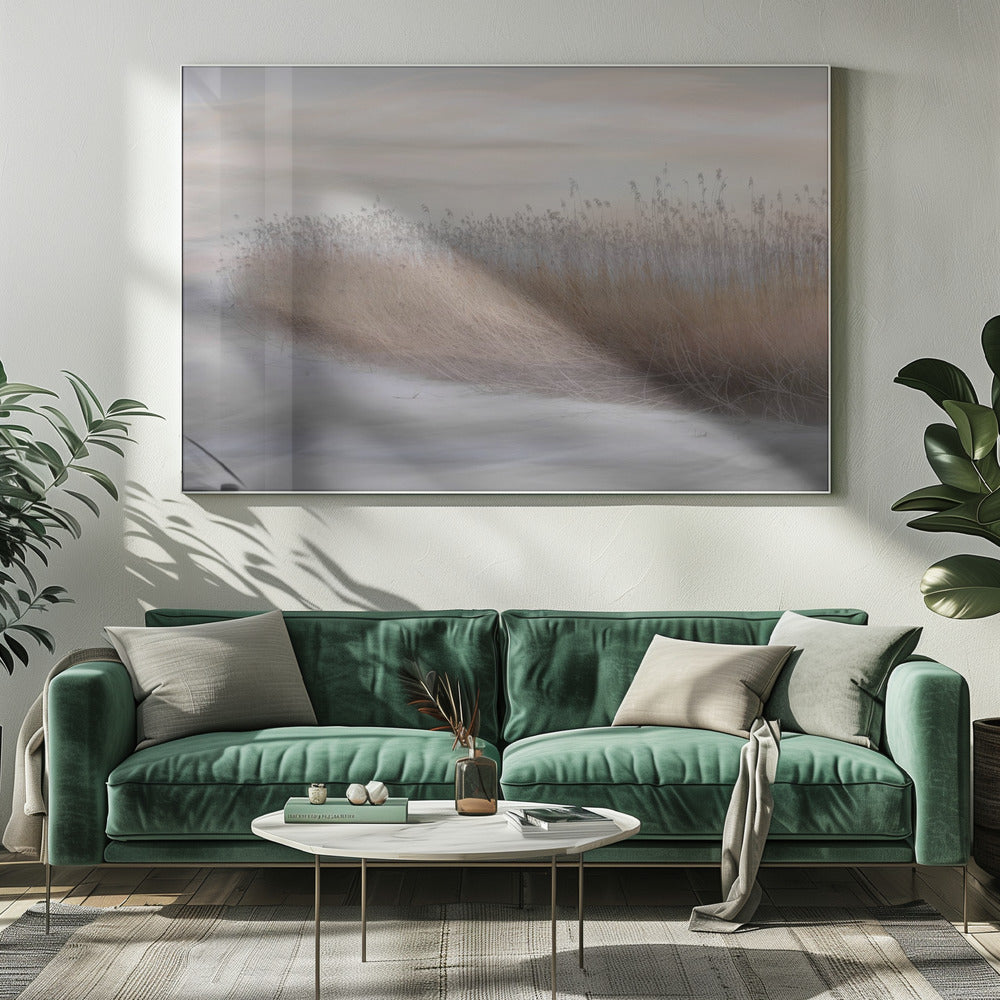 Winter Reed | Canvas