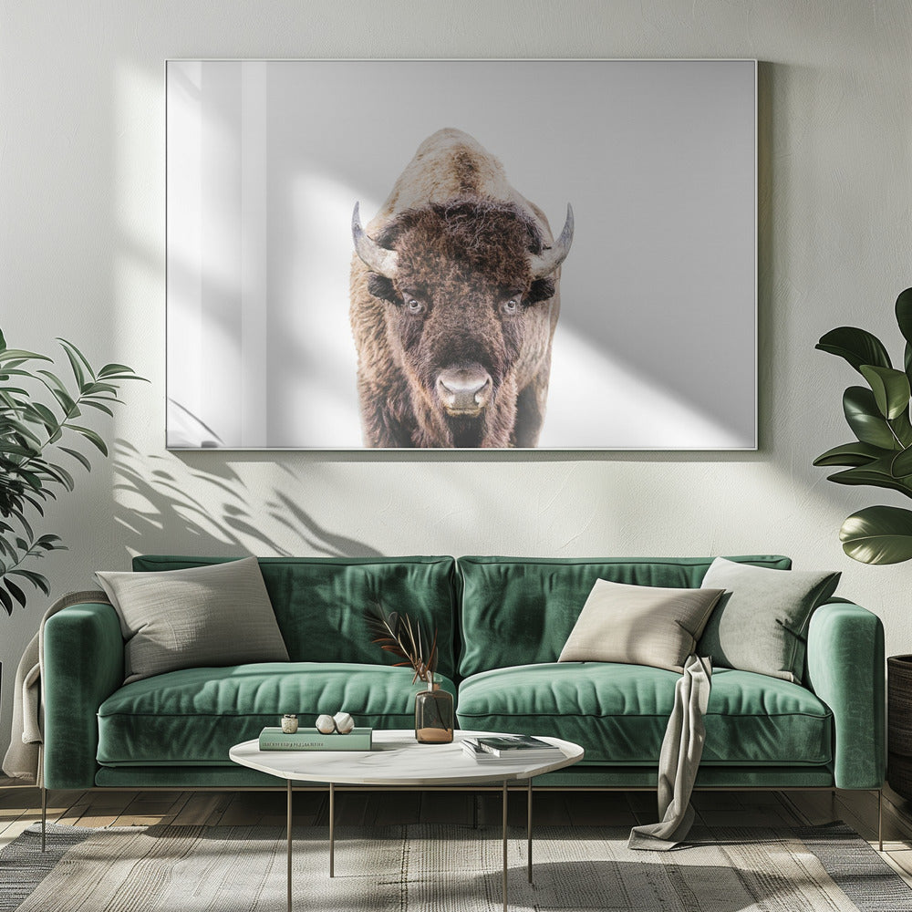 Bison | Canvas