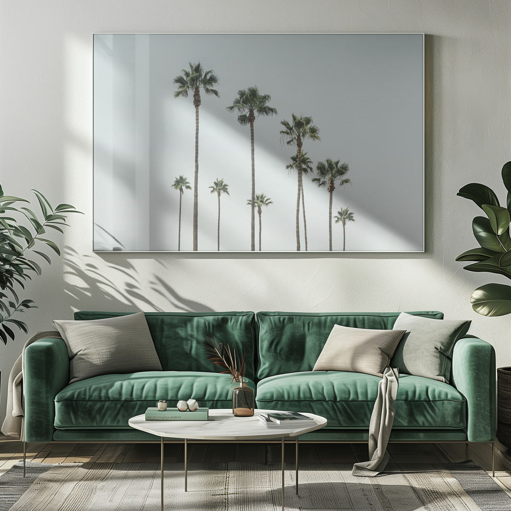 Cali Palms | Canvas