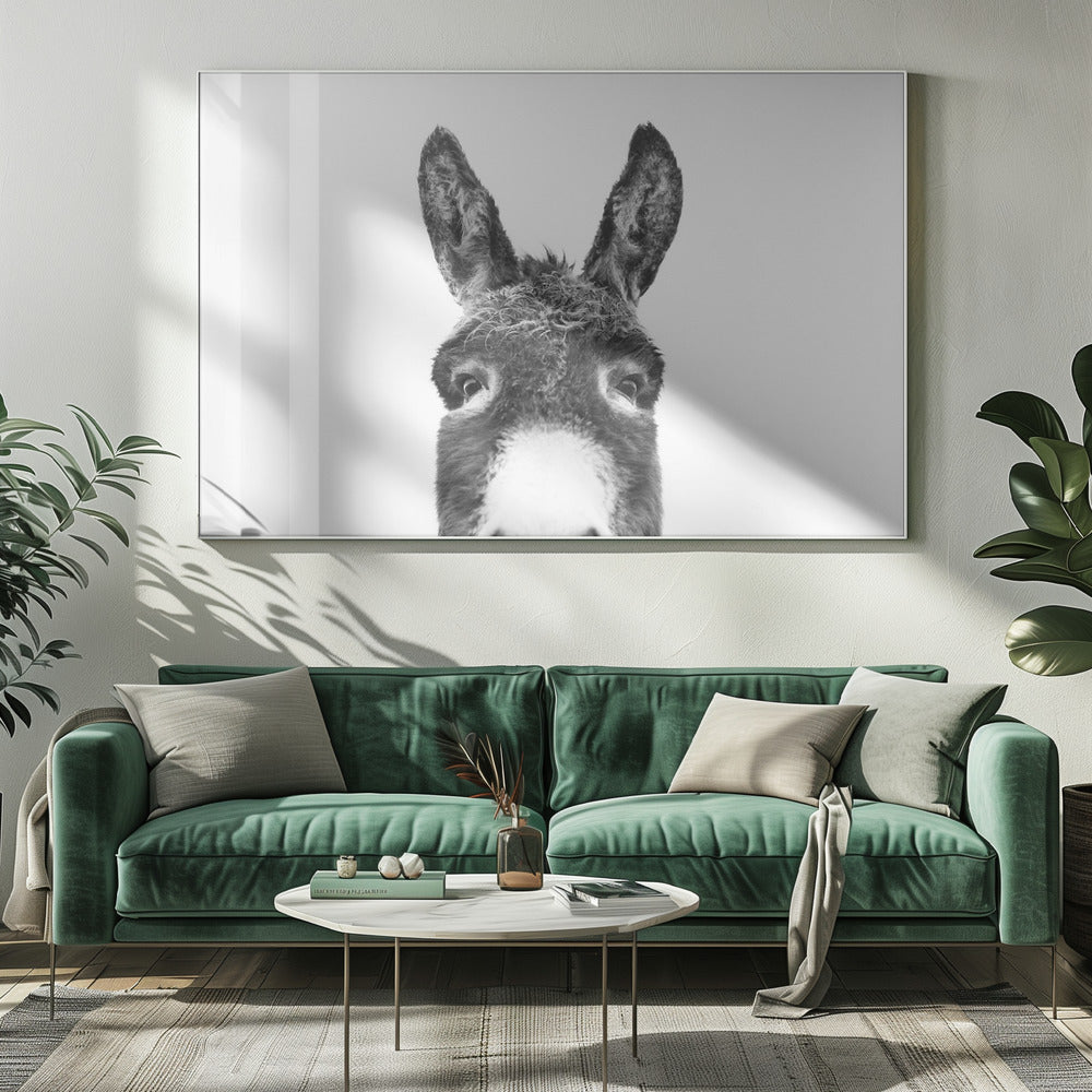 Peeking Donkey BW | Canvas
