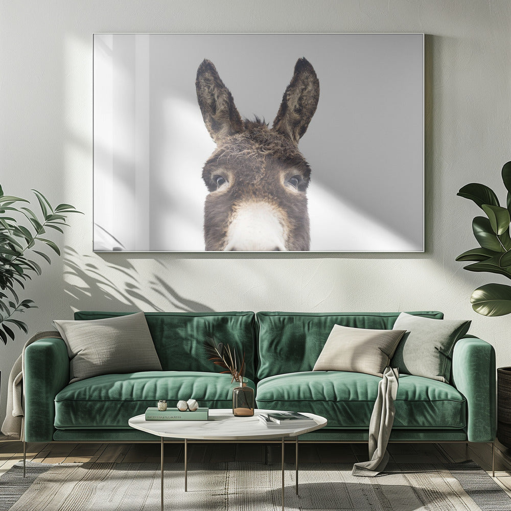 Peeking Donkey | Canvas