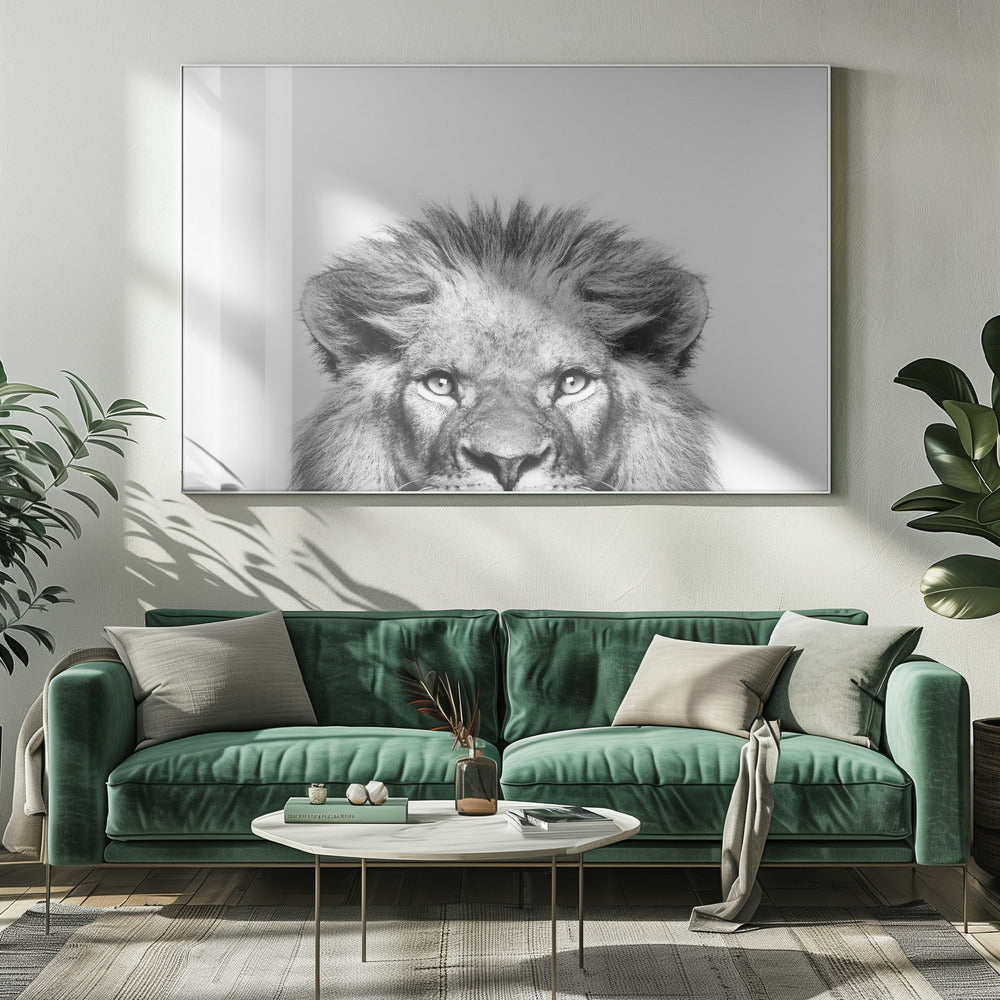 Peeking Lion | Canvas