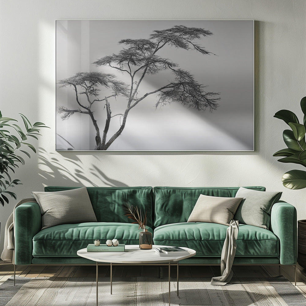 a very long story | Canvas