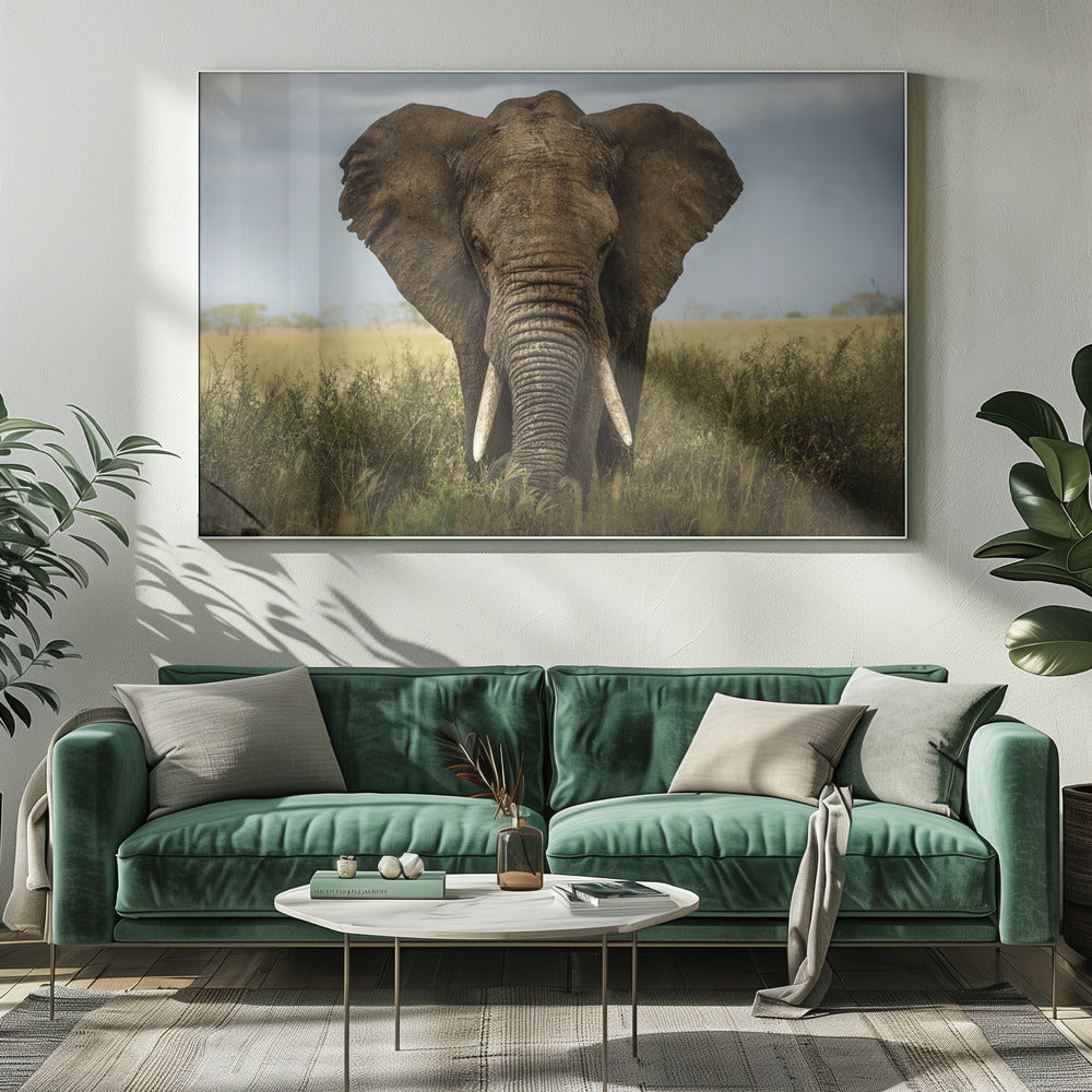 Encounters in Serengeti | Canvas