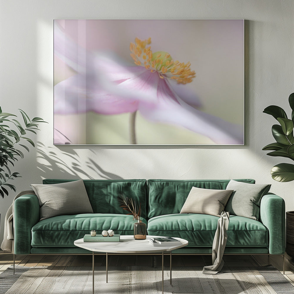 Japanese Anemone | Canvas