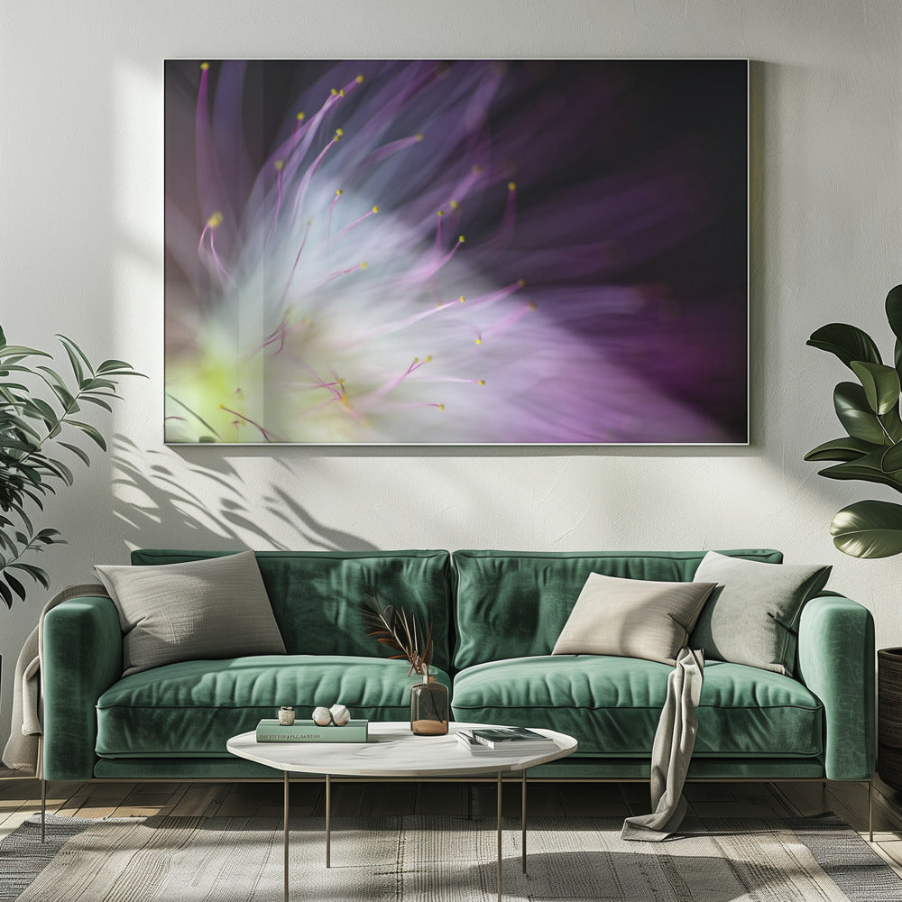 The Will-o-the-Wisp | Canvas