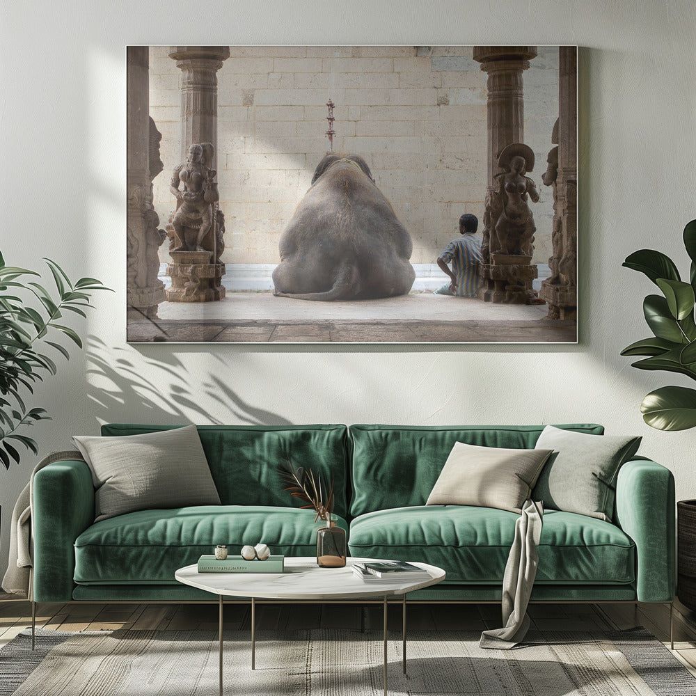 The Elephant &amp; its Mahot | Canvas