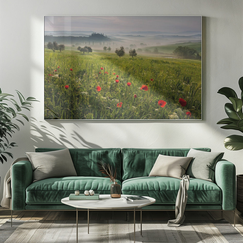 Tuscan spring | Canvas