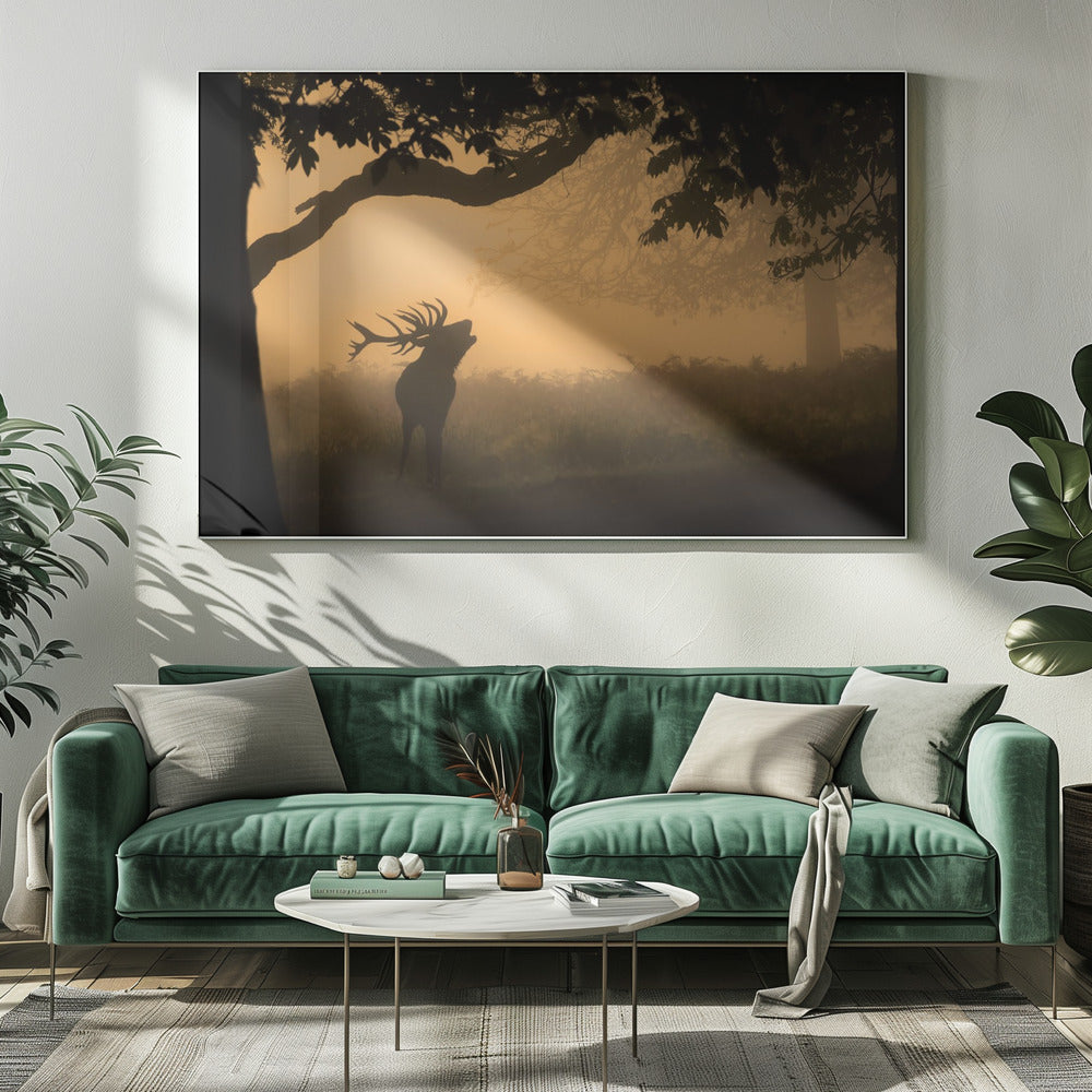 the love call | Canvas