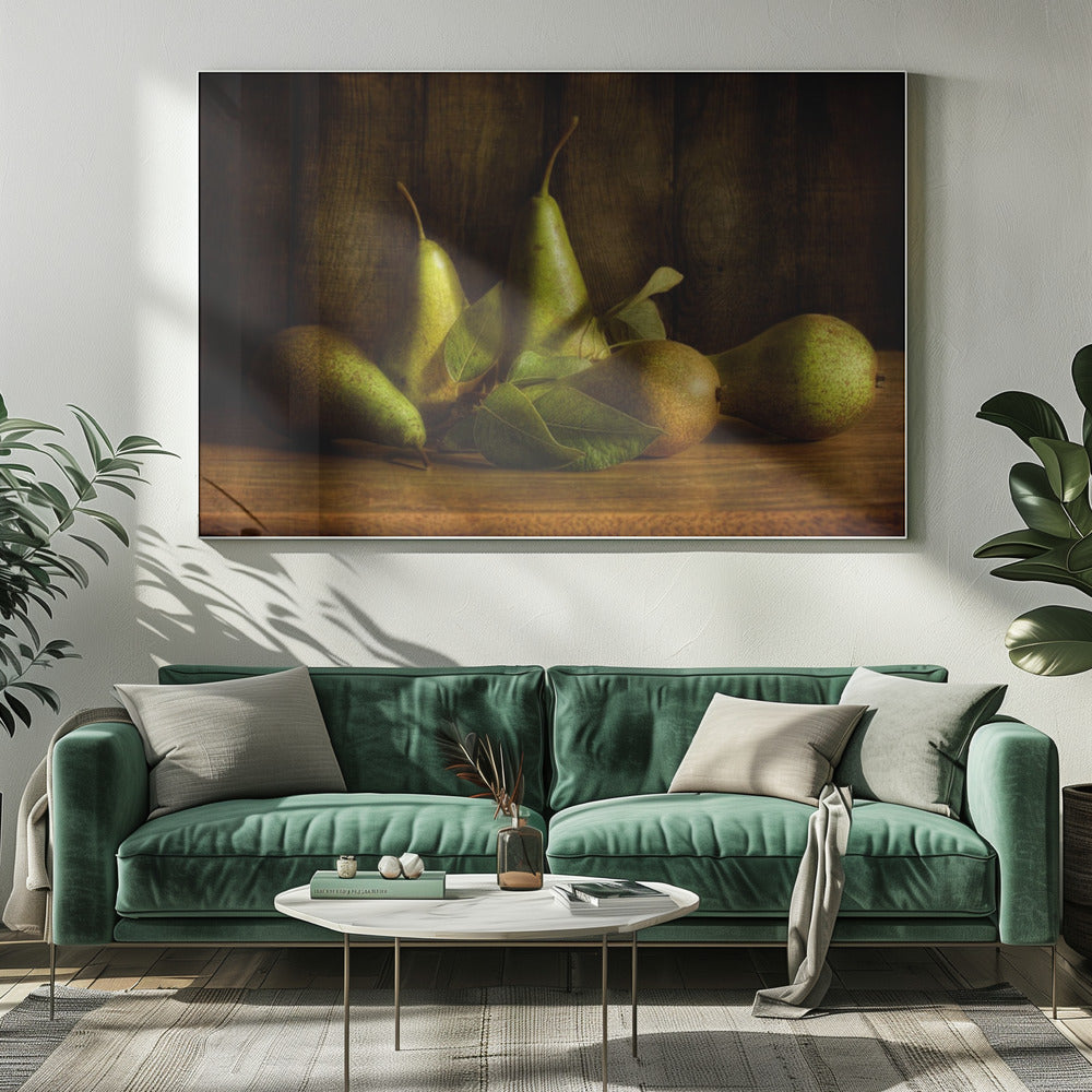 Pears | Canvas