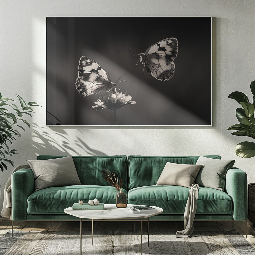 Medioluto norteÃ±a | Canvas