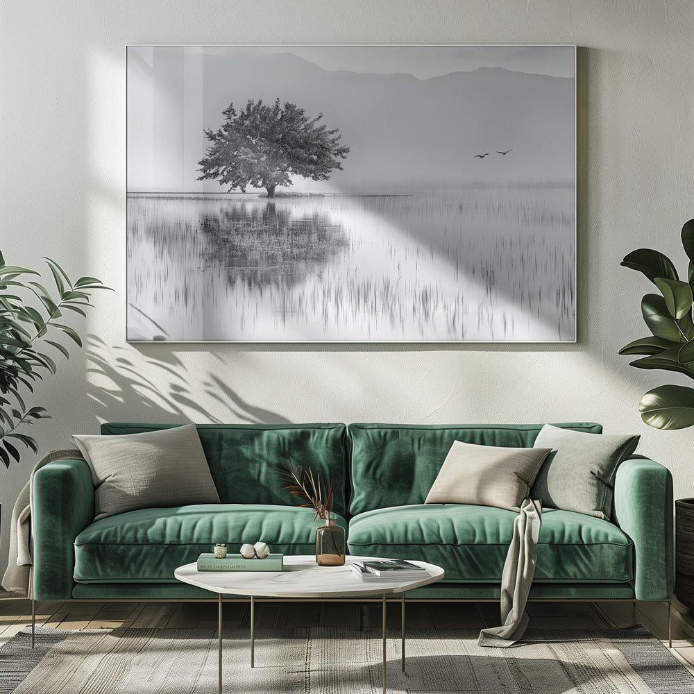 Spring Mirror | Canvas