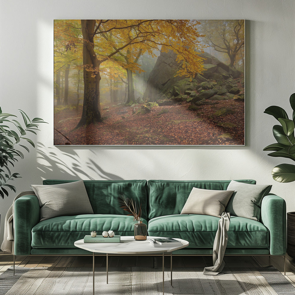 Autumn forest | Canvas