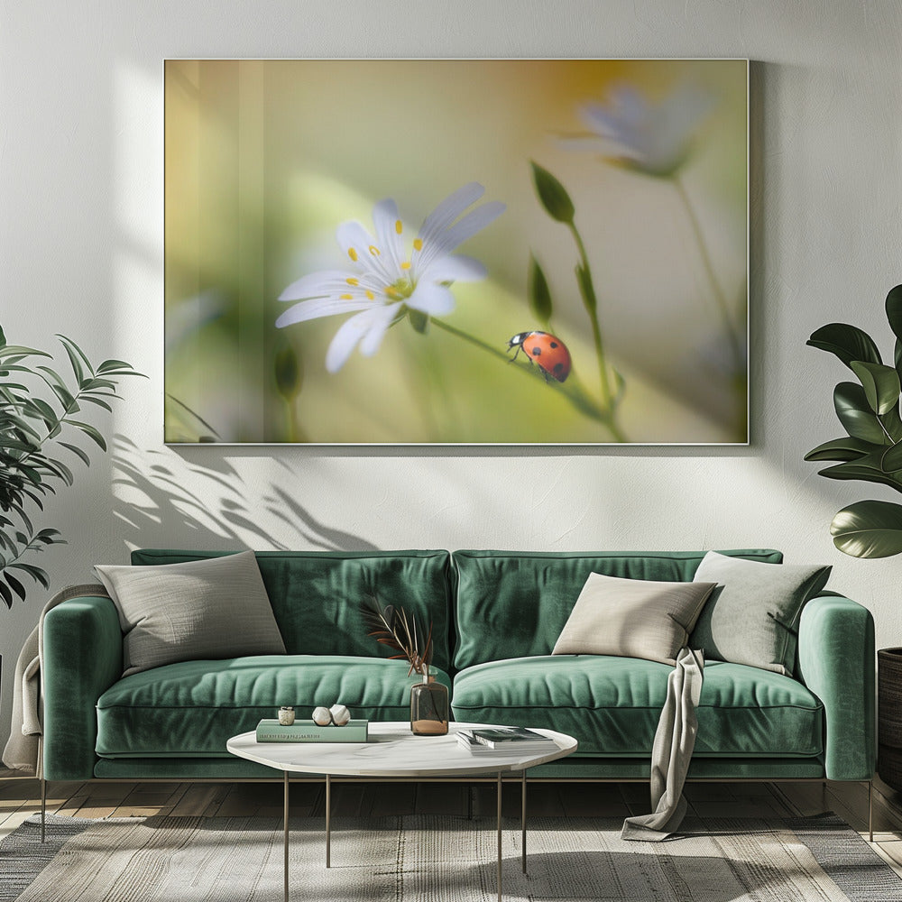 Summer beauties | Canvas