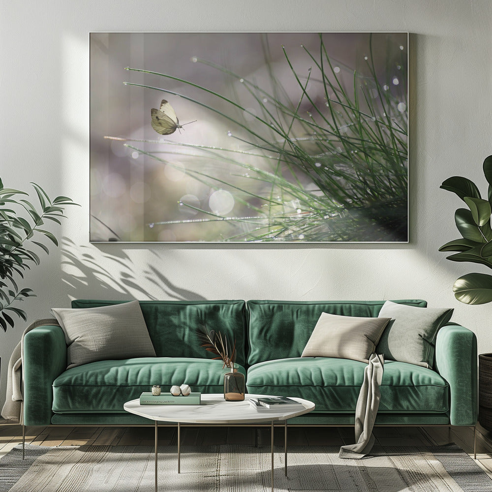 Imminent Landing | Canvas