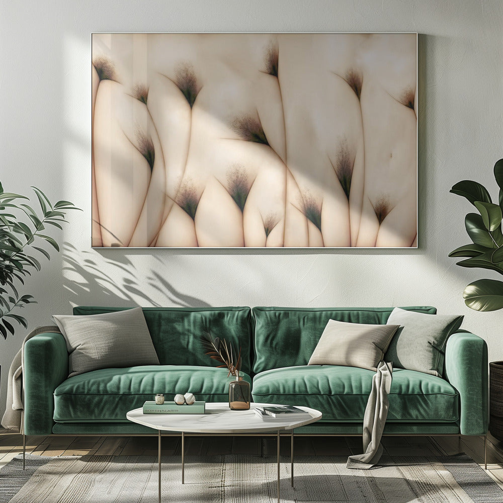 vaginae terram | Canvas