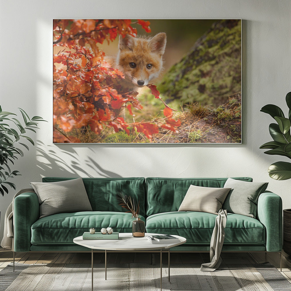 Fox | Canvas