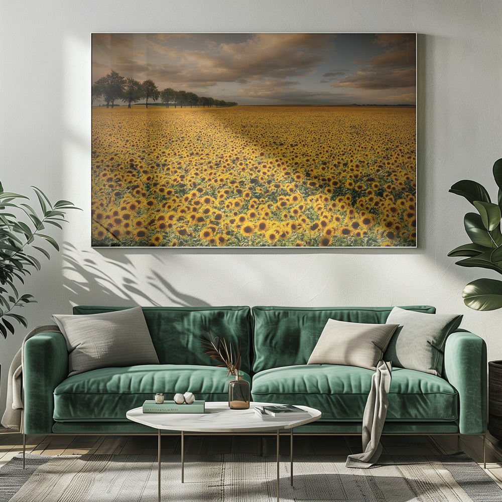 Sunflowers | Canvas