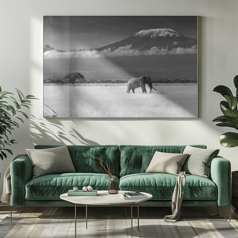 Lost Colors II | Canvas