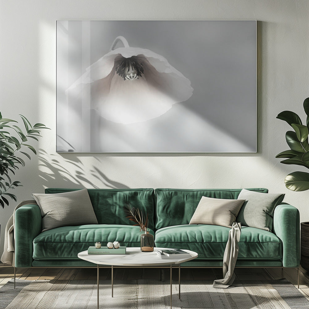 Ephemeral Beauty | Canvas