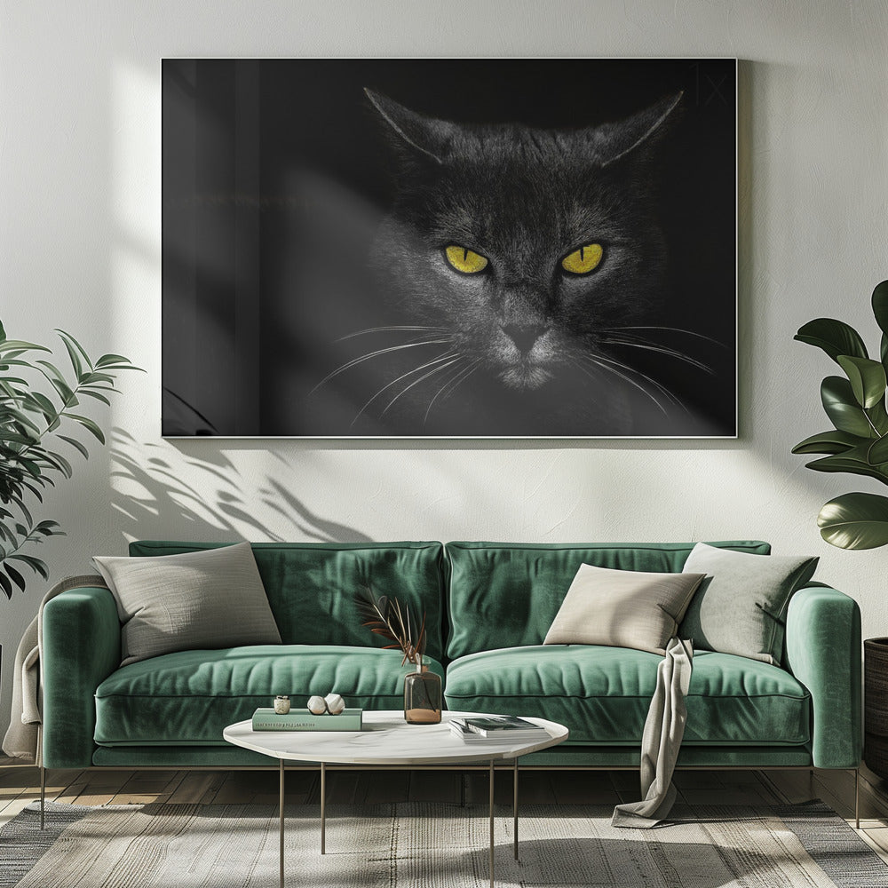 Black Cat | Canvas