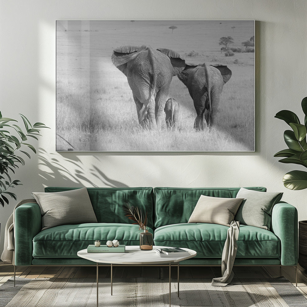 Three Butts! | Canvas