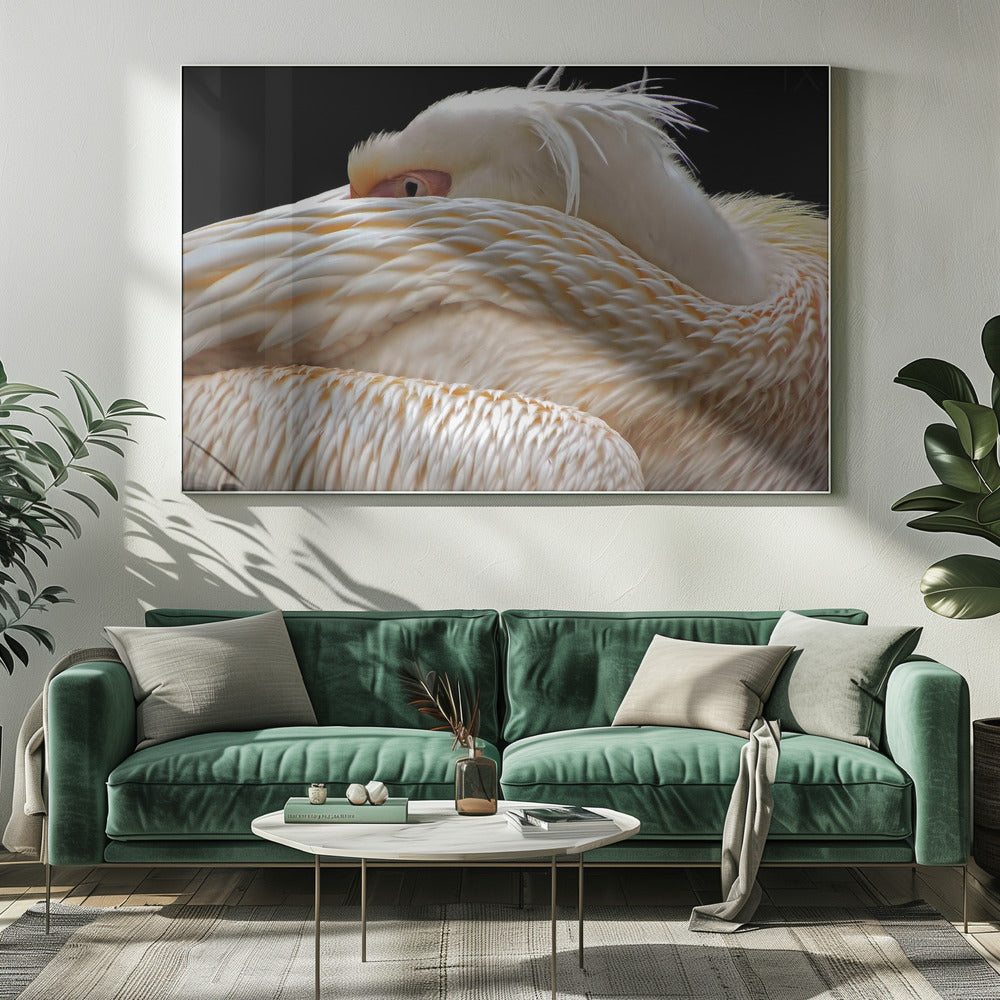 To be half asleep... | Canvas