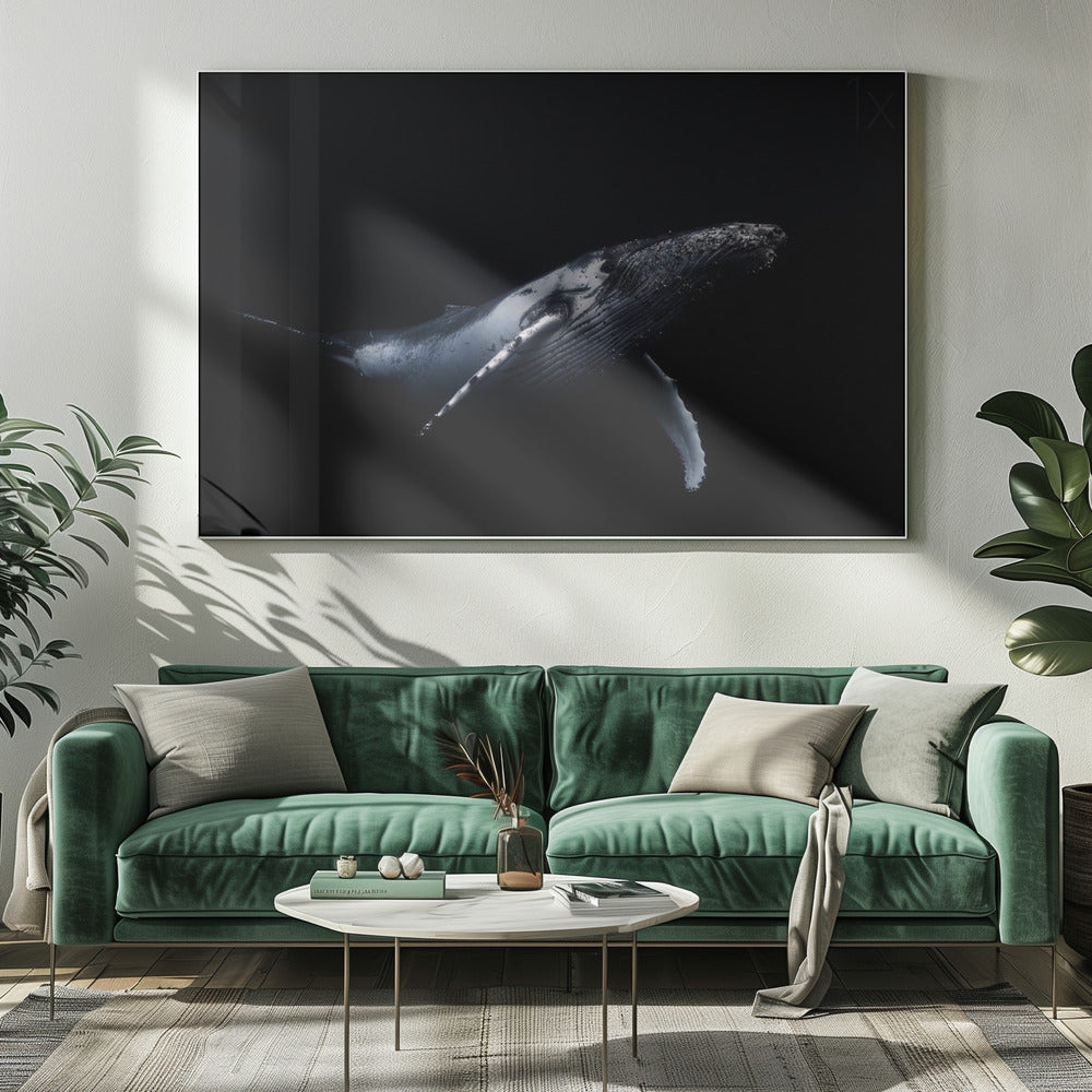 Black &amp; Whale | Canvas