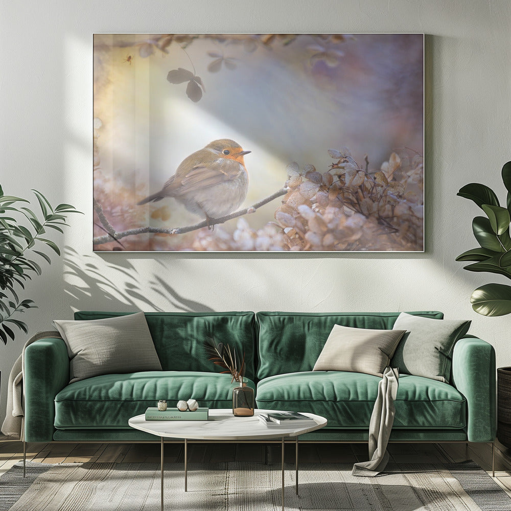 Robin on dreams | Canvas