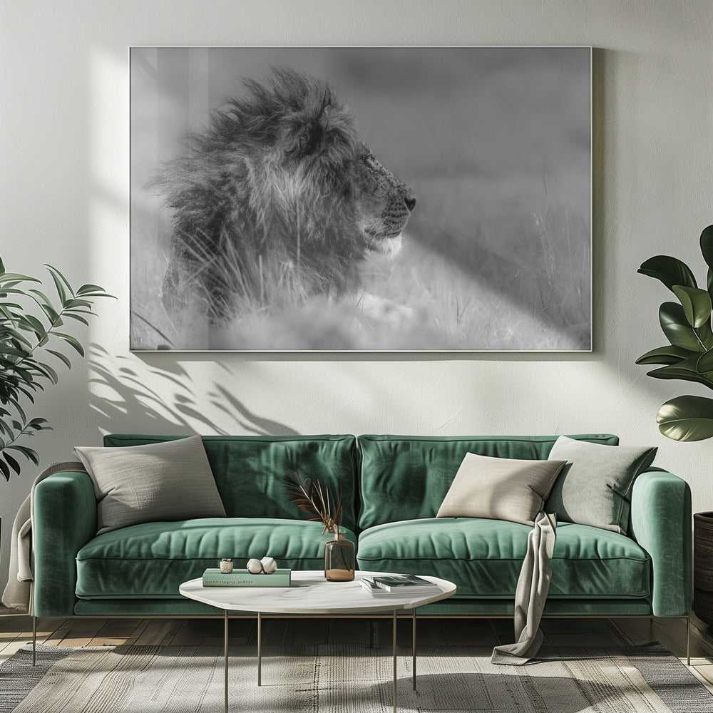 The king is alone | Canvas