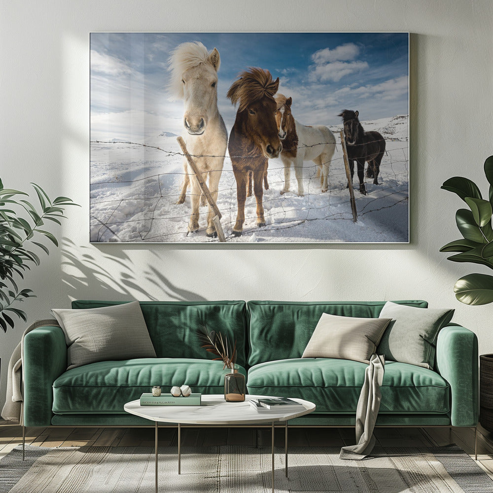 Icelandic Hair Style | Canvas