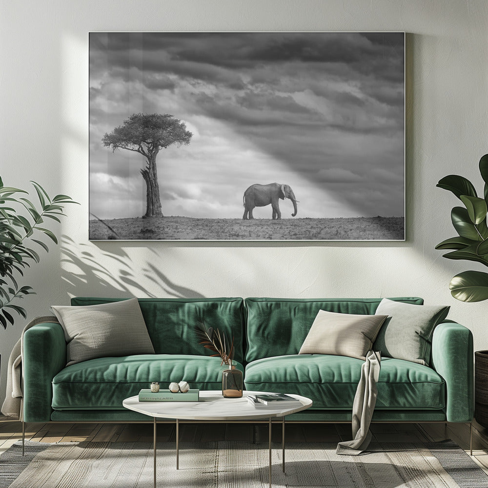 Elephant Landscape | Canvas
