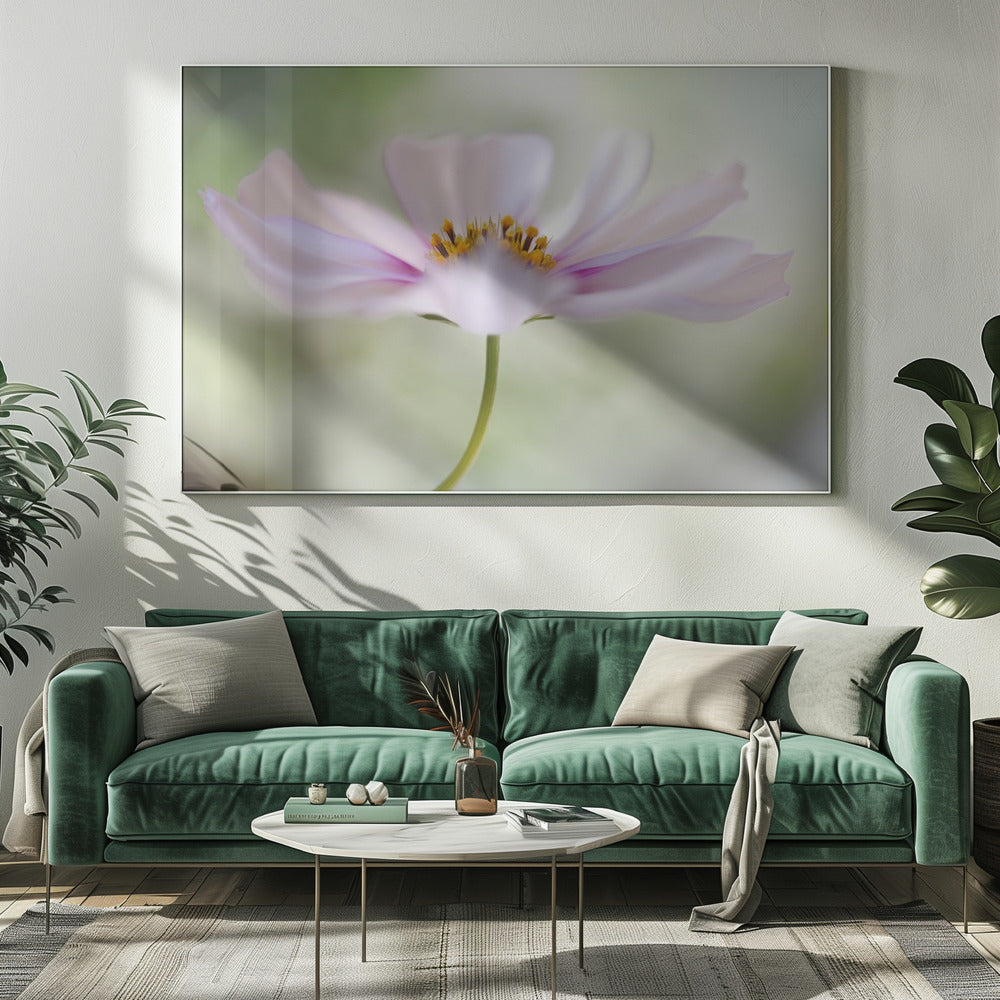 Cosmos Cloud | Canvas