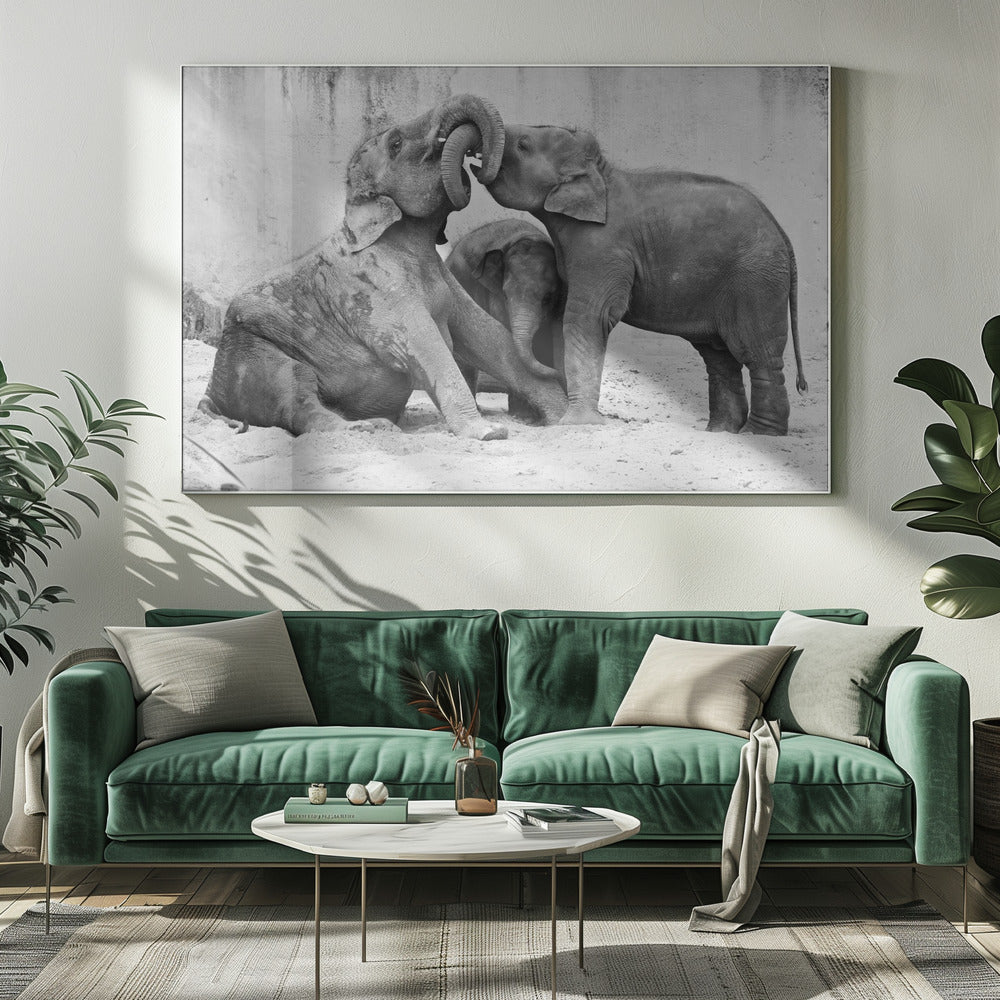 MÃ‰NAGE Ã€ TROIS | Canvas