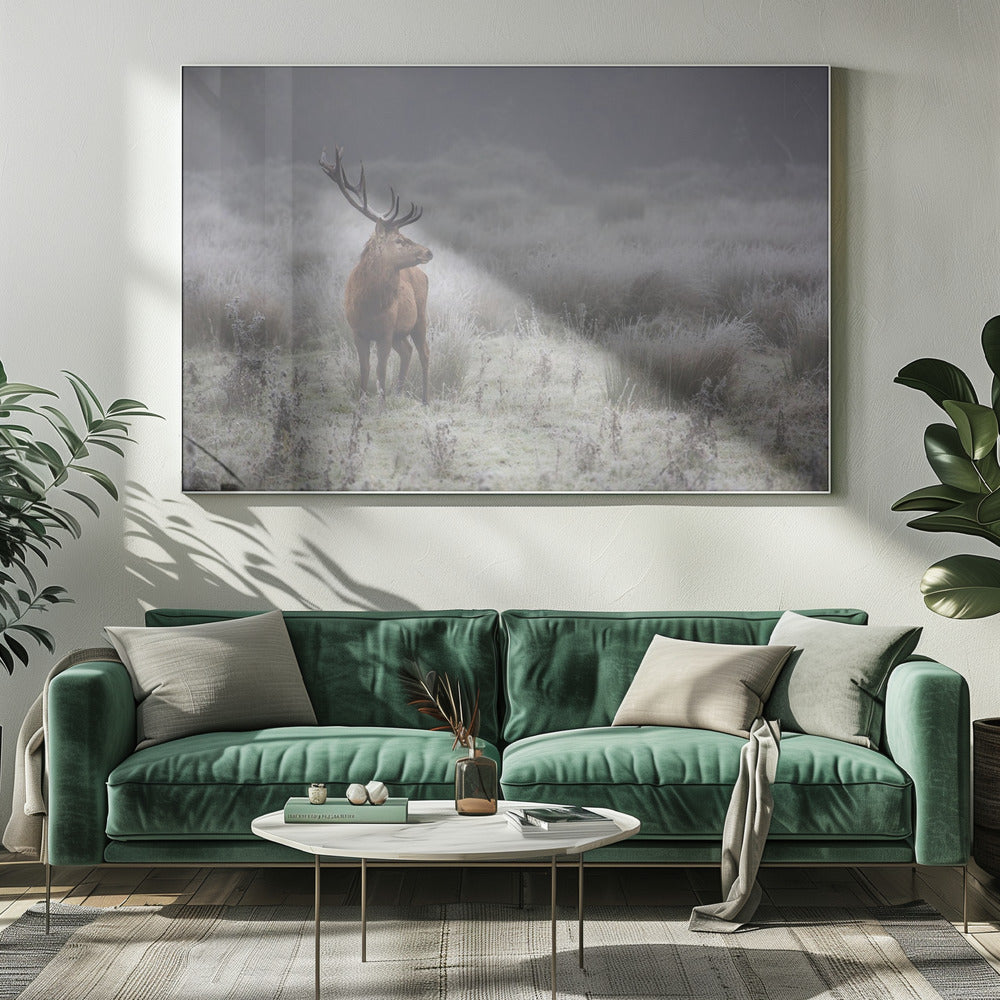 Prideful. deer . | Canvas