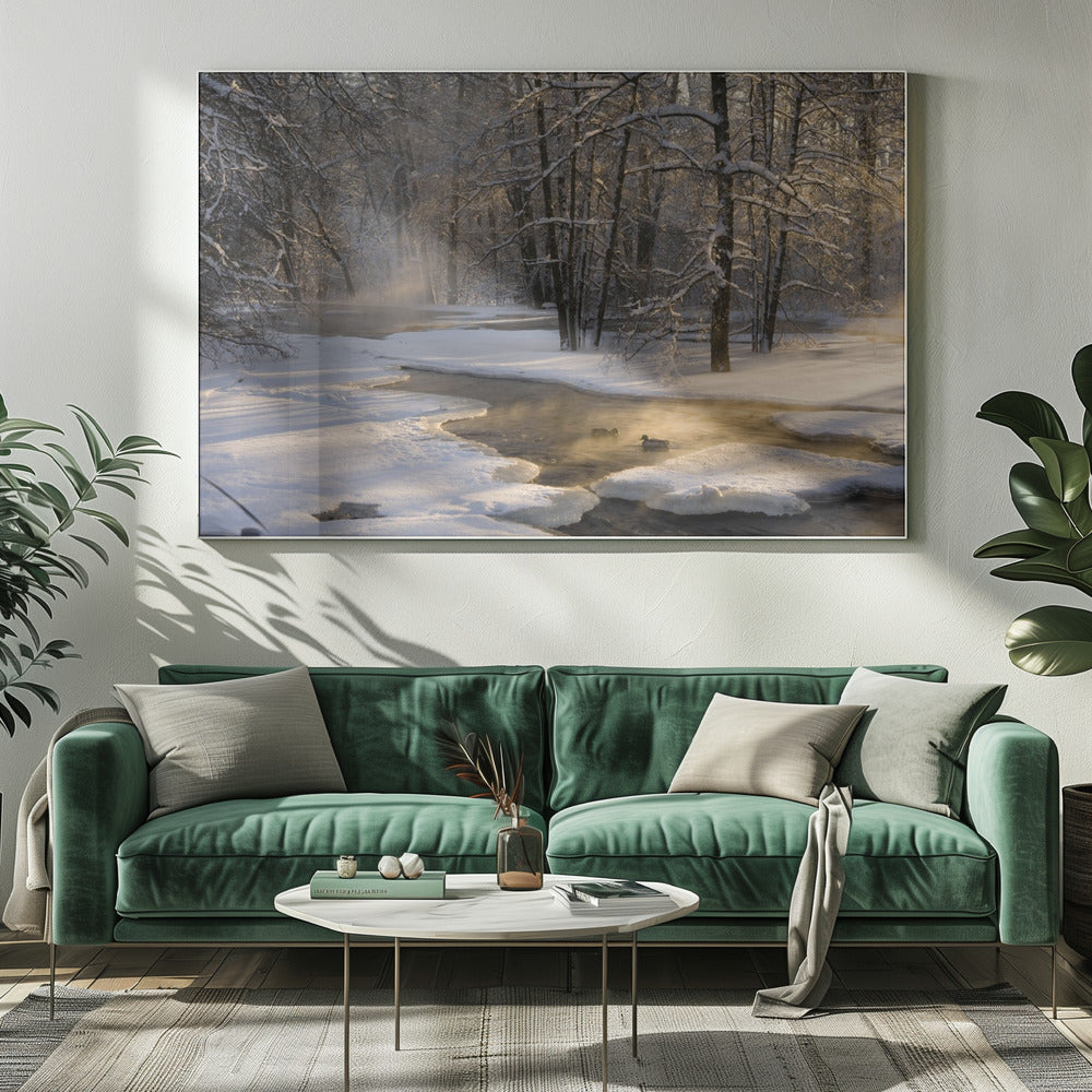 The first light | Canvas