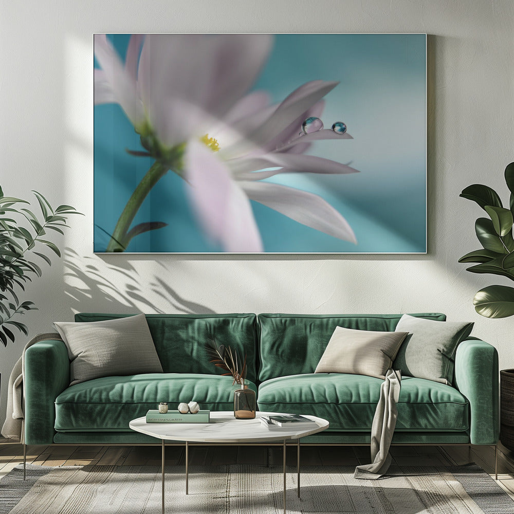 In turquoise Company | Canvas