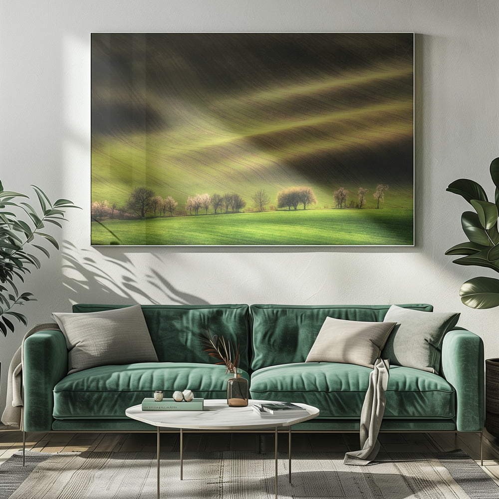 Moravian Fields | Canvas