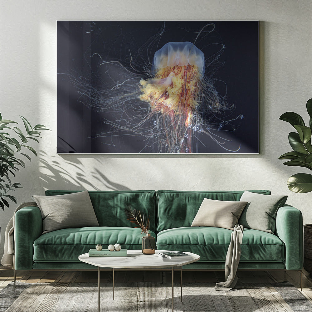 Giant Lion's Mane | Canvas